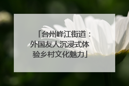 台州峰江街道：外国友人沉浸式体验乡村文化魅力