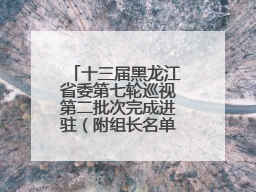 十三届黑龙江省委第七轮巡视第二批次完成进驻（附组长名单、联系方式）