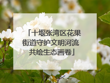 十堰张湾区花果街道守护文明河流 共绘生态画卷