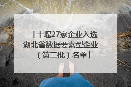 十堰27家企业入选湖北省数据要素型企业（第二批）名单