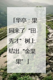 华亭：果园来了“田秀才”树上结出“金果果”