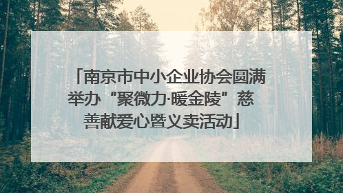 南京市中小企业协会圆满举办“聚微力·暖金陵”慈善献爱心暨义卖活动