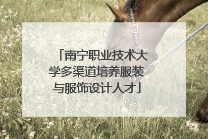 南宁职业技术大学多渠道培养服装与服饰设计人才