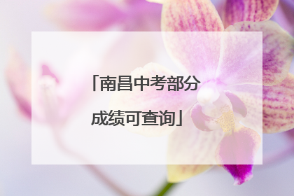 南昌中考部分成绩可查询