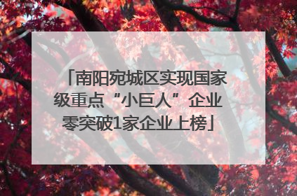 南阳宛城区实现国家级重点“小巨人”企业零突破1家企业上榜