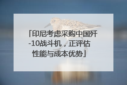 印尼考虑采购中国歼-10战斗机，正评估性能与成本优势