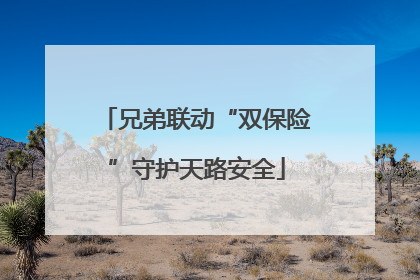 兄弟联动“双保险”守护天路安全