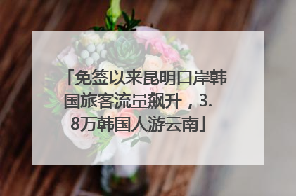 免签以来昆明口岸韩国旅客流量飙升，3.8万韩国人游云南