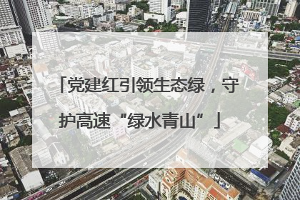 党建红引领生态绿，守护高速“绿水青山”