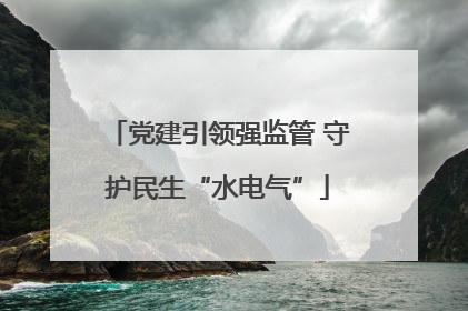 党建引领强监管 守护民生“水电气”