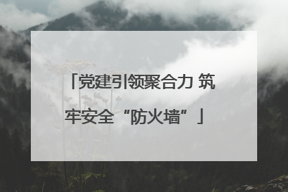 党建引领聚合力 筑牢安全“防火墙”