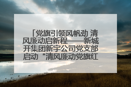 党旗引领风帆劲 清风廉动启新程——新城开集团新宇公司党支部启动“清风廉动党旗红”系列活动