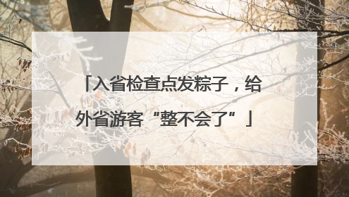 入省检查点发粽子，给外省游客“整不会了”