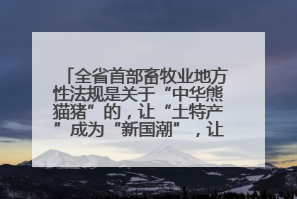 全省首部畜牧业地方性法规是关于“中华熊猫猪”的，让“土特产”成为“新国潮”，让“农产品”升格为“城市IP”