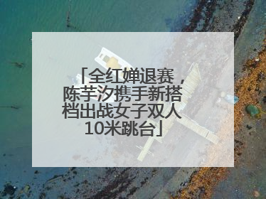 全红婵退赛，陈芋汐携手新搭档出战女子双人10米跳台