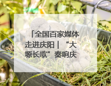 全国百家媒体走进庆阳｜“大塬长歌”奏响庆阳香包民俗文化节序曲