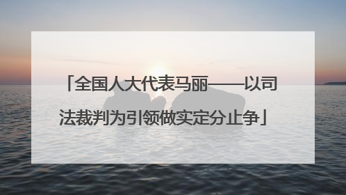 全国人大代表马丽——以司法裁判为引领做实定分止争
