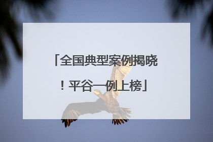 全国典型案例揭晓！平谷一例上榜