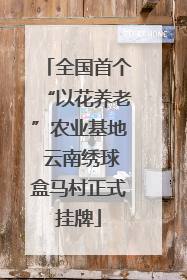 全国首个“以花养老”农业基地 云南绣球盒马村正式挂牌