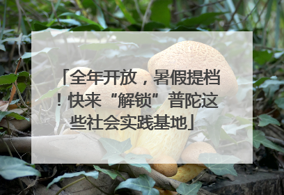全年开放，暑假提档！快来“解锁”普陀这些社会实践基地