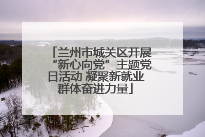 兰州市城关区开展“新心向党”主题党日活动 凝聚新就业群体奋进力量