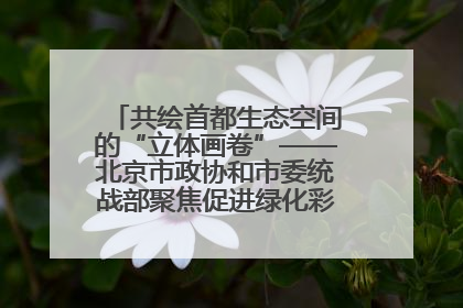 共绘首都生态空间的“立体画卷”——北京市政协和市委统战部聚焦促进绿化彩化美化生态空间建设联合协商议政