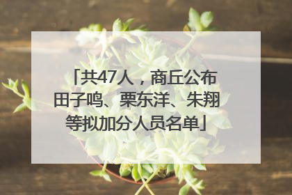 共47人，商丘公布田子鸣、栗东洋、朱翔等拟加分人员名单
