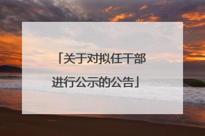 关于对拟任干部进行公示的公告