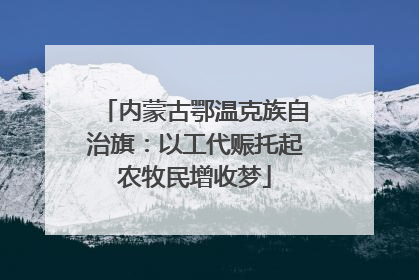 内蒙古鄂温克族自治旗：以工代赈托起农牧民增收梦