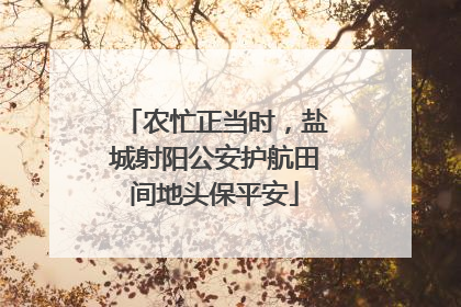农忙正当时，盐城射阳公安护航田间地头保平安