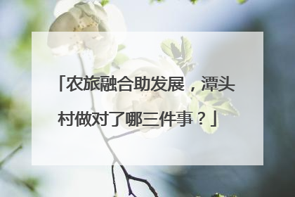 农旅融合助发展，潭头村做对了哪三件事？