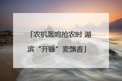 农机轰鸣抢农时 湖滨“开镰”麦飘香