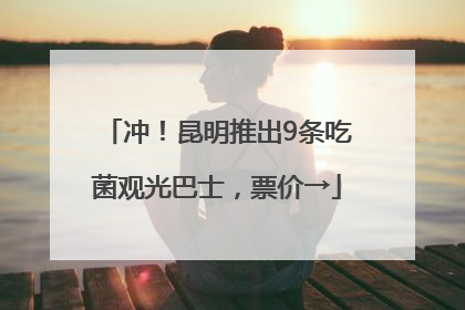 冲！昆明推出9条吃菌观光巴士，票价→