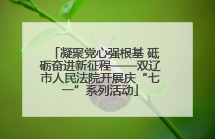 凝聚党心强根基 砥砺奋进新征程——双辽市人民法院开展庆“七一”系列活动