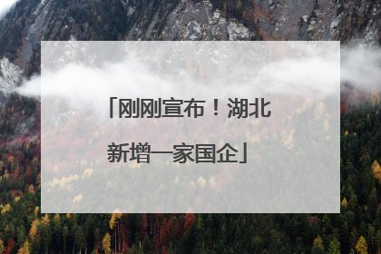 刚刚宣布！湖北新增一家国企