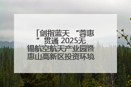 剑指蓝天 “蓉惠”贯通 2025无锡航空航天产业园暨惠山高新区投资环境推介会在成都举行