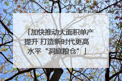加快推动大面积单产提升 打造新时代更高水平“洞庭粮仓”