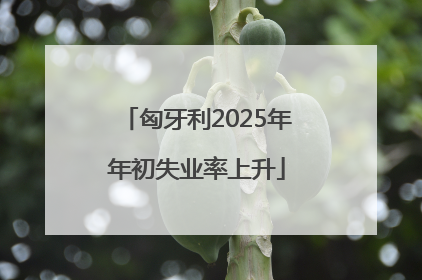 匈牙利2025年年初失业率上升