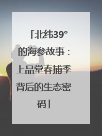 北纬39°的海参故事：上品堂春捕季背后的生态密码
