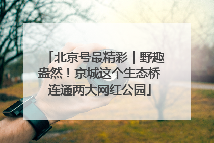 北京号最精彩｜野趣盎然！京城这个生态桥连通两大网红公园