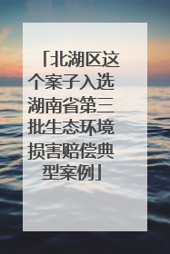 北湖区这个案子入选湖南省第三批生态环境损害赔偿典型案例