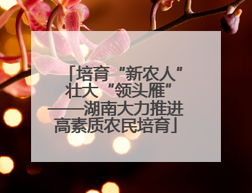 培育“新农人” 壮大“领头雁”——湖南大力推进高素质农民培育