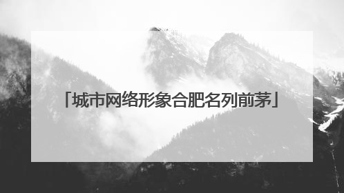 城市网络形象合肥名列前茅