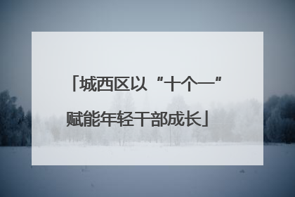 城西区以“十个一”赋能年轻干部成长