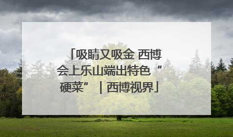 吸睛又吸金 西博会上乐山端出特色“硬菜”｜西博视界