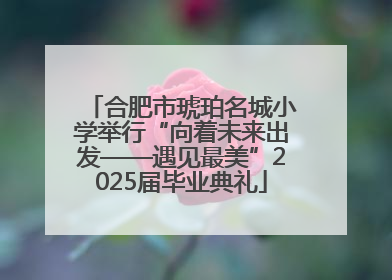 合肥市琥珀名城小学举行“向着未来出发——遇见最美”2025届毕业典礼