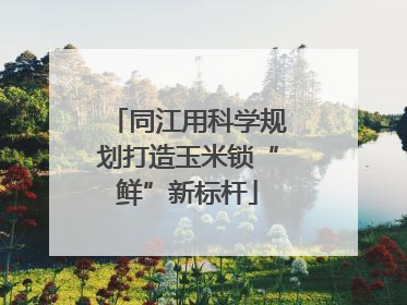 同江用科学规划打造玉米锁“鲜”新标杆
