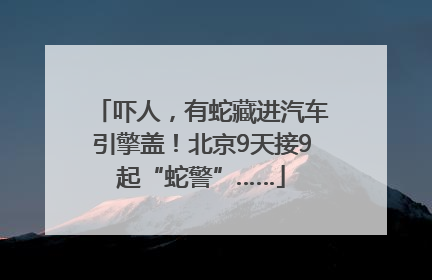 吓人，有蛇藏进汽车引擎盖！北京9天接9起“蛇警”……