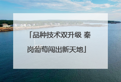品种技术双升级 秦岗葡萄闯出新天地