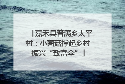 嘉禾县普满乡太平村：小菌菇撑起乡村振兴“致富伞”